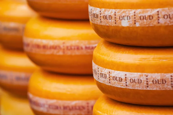 Dutch cheese on a street market