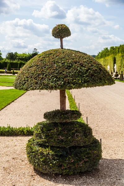 The gardens of the Palace of Versailles