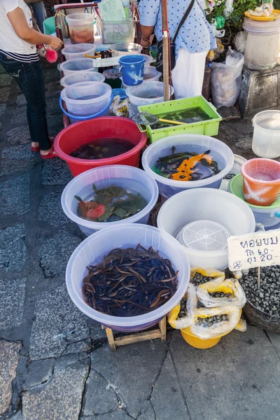 Traditional market stall in Bangkok, Thailand, with fishes, turtles and other animals