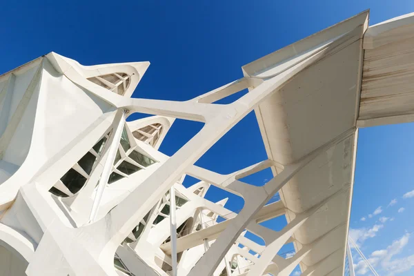 Museum of natural sciences from Santiago Calatrava in Valencia, Spain