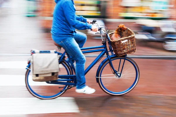 Bicycle rider in the rainy city