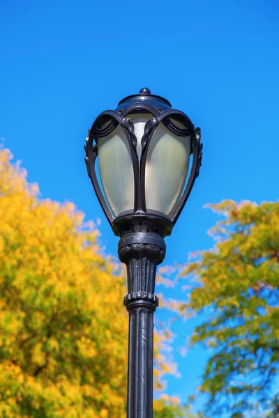 Street lamp in Central Park, NYC