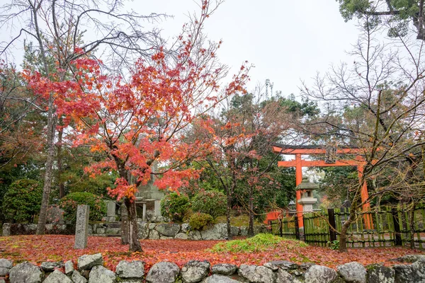 Gardens of the Tenryuji Temple in autumn.
