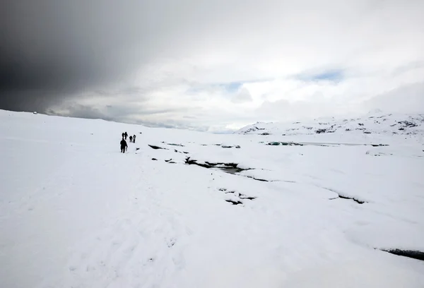 Tourists walking in Iceland