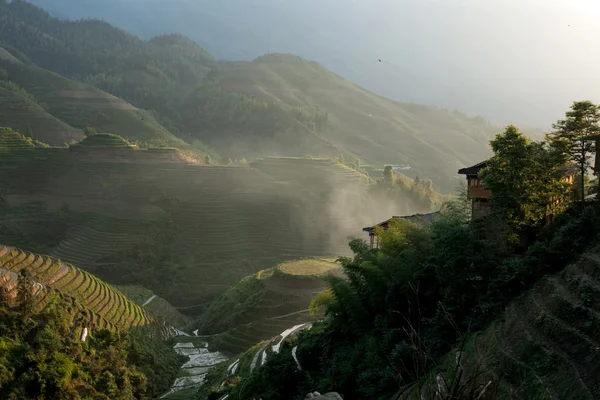 Terraced rice fields