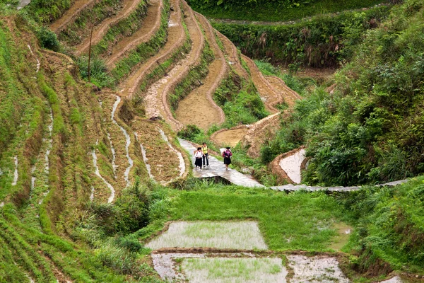 Village and terraced rice fields of the Yao ethnic minority tribes in Longji, China.