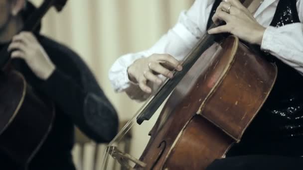 两个大提琴家玩手指上大提琴演奏会 - 图库视频