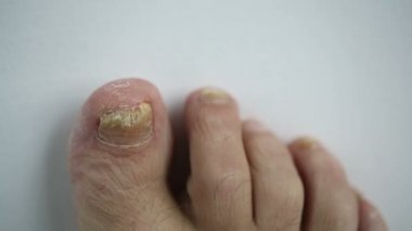 医疗和健康图库照片、插图和矢量艺术-页面17