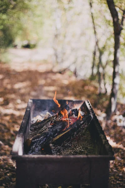 Old BBQ with fire on the forest background