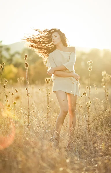 Young woman with beautiful curly hair posing in field at sunset