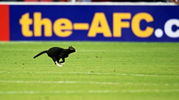 AFC U-16 Championship between Korea Republic and Malaysia