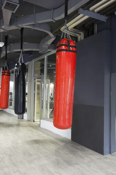 Punching bags in gym