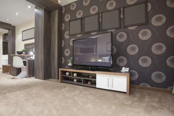 TV in modern living room interior