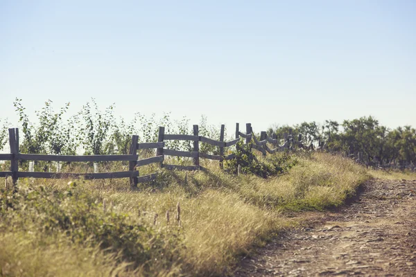 Dirt road and wooden fence