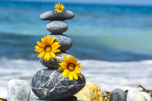 Zen stones and yellow flowers