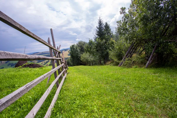 Old wood fence