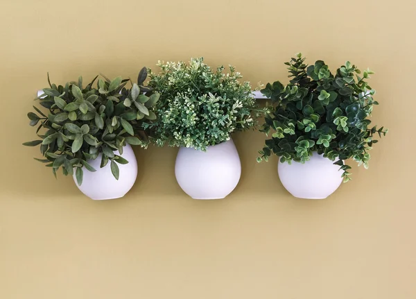 Three white flower pot with flowers hanging on the wall