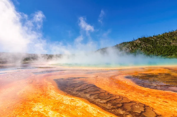 Beautiful cerulean geyser surrounded by colorful layers of bacteria