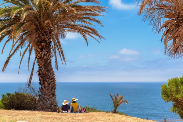 Romantic holidays. Picnic by the sea, in the shade of palm trees