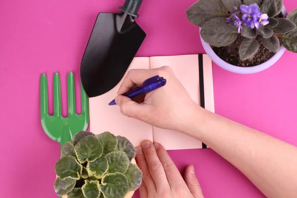 People, gardening, flower planting and profession concept - close up of man or gardener hands planting violet to flower pot at home