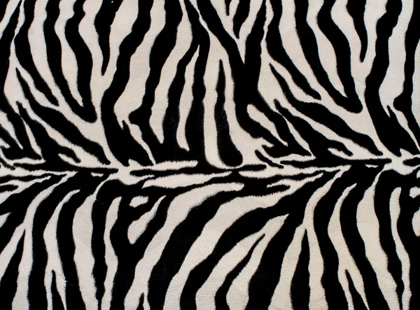 Texture of black and white zebra textile