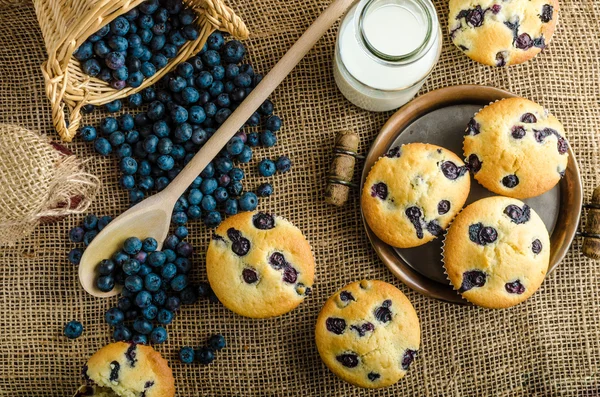 Blueberry muffins