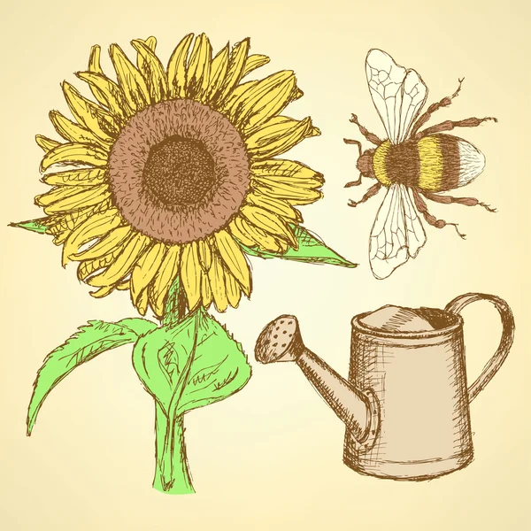 Sketch sunflower, bee and watering can
