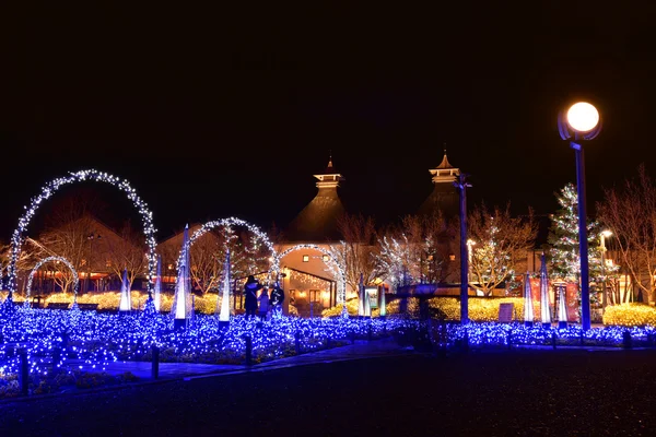 Winter illumination in Mie, Japan