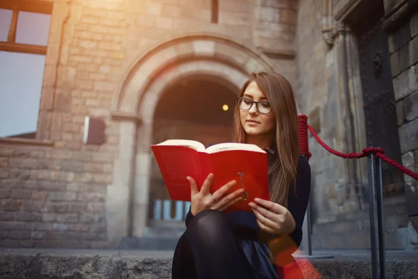 Student reading interesting book