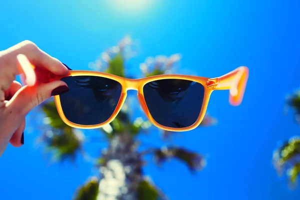 Sunglasses against palm tree and sky