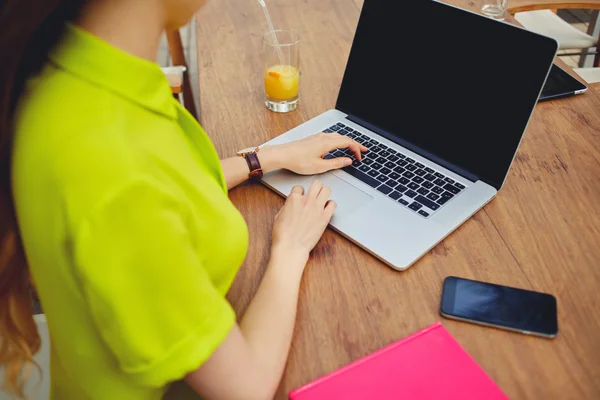 Female freelancer sitting front laptop