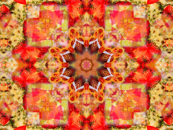 Orange color drawing in kaleidoscope pattern