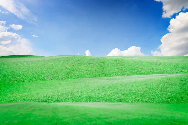 The beautiful landscap field grass and sky  retouch
