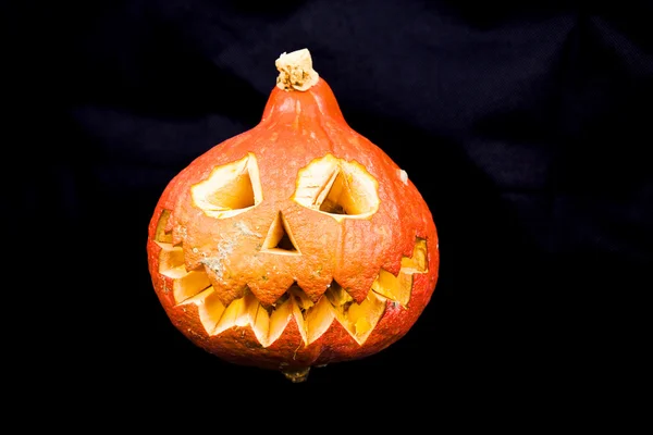 Halloween Pumpkin in front of a black background