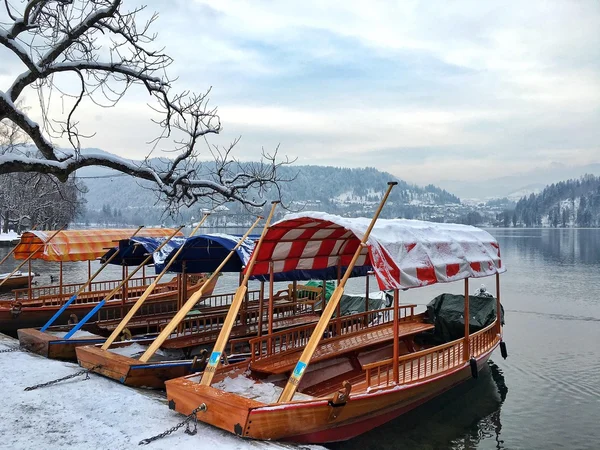 Pletna Boats Covered by Snow