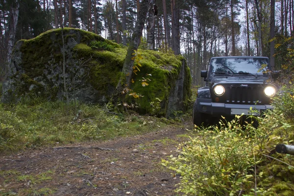 Jeep Wrangler in the autumn forest, Russia