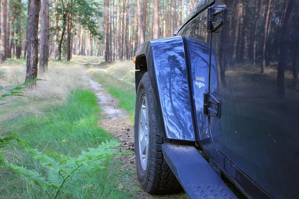 Jeep Wrangler in a pine forest