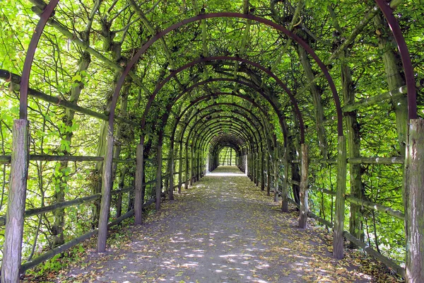 Green tunnel