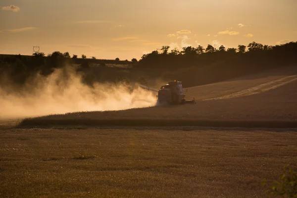 Combine harvested grain at sunset. Simple monochrome image. Wide