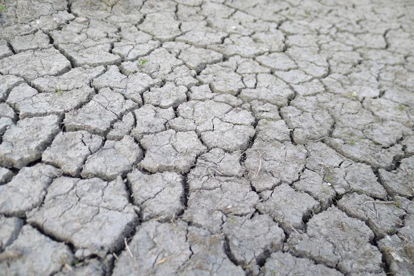Dry earth soil cracked earth texture