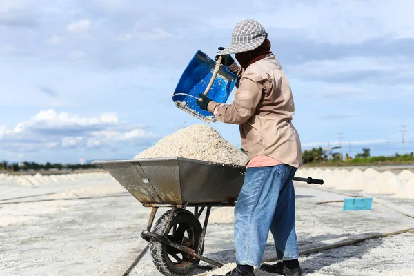 Unidentified people working at Salt Pan