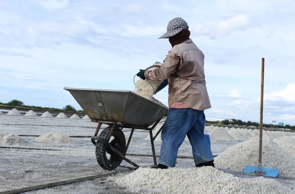 Unidentified people working at Salt Pan