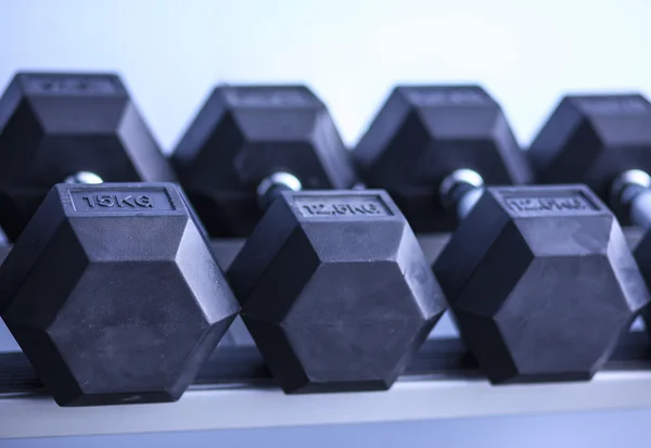 Sports dumbbells in modern sports club