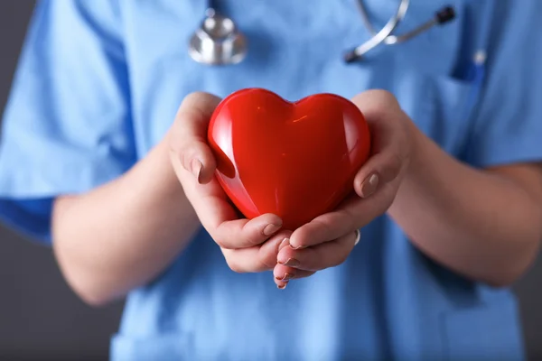 Doctor with stethoscope holding heart, isolated on gray background