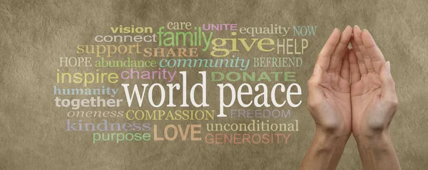 Contribute to World Peace Campaign Banner