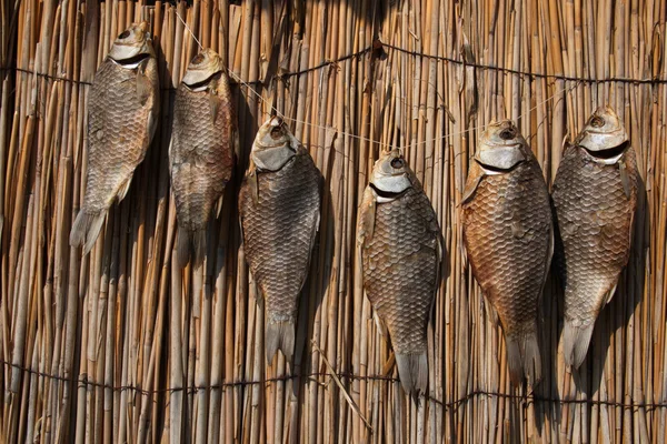 Dry fish