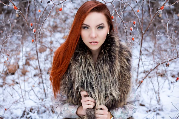 Beautiful cute sexy young girl with red hair walking in a snowy forest among the trees missed first trimester bushes with red yagodamiv warm coat with bright makeup