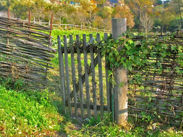 Wicker fence of wooden twigs and gate