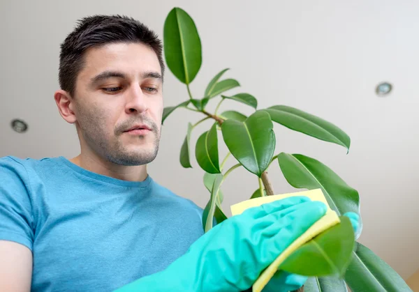 Adult man cleaning pipal in kitchen