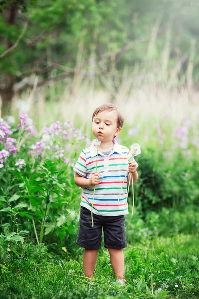 Portrait of a cute funny little boy toddler standing in the forest field meadow with dandelion flowers in hands and blowing them on a bright summer day, summer fun, lens flare from above